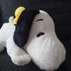 まるまるめいめい