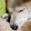 お悩み相談｜リムリム
