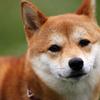 たかみー☆スマホ錬金術を教えてます
