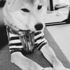 元看護師チアシィ