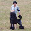 inspiration poodles