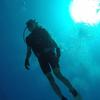 shotadiver0803
