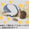 悩み相談つくね