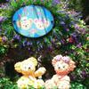 fairy0621