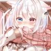 路地裏の猫