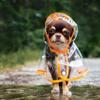 surfer202