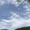 自由を生きるサポーター　かとみか