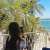 palm_design