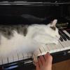 ゆうゆうピアノ
