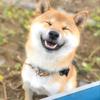 ぼっちゃま