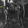 artlark