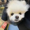 coco park