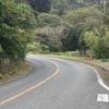 登り道！