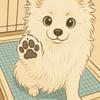 加藤　遥輝