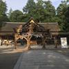 higabo（ぼり）
