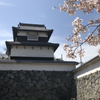 公務員試験対策Mogil