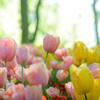 mats0918