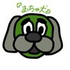 まっちゃ犬