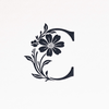 DesignCompany Cosmos