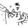 Aoto Masumoto