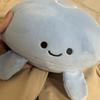 くらげのふわふわ◎