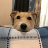 聞きたいだけ