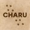 CHARU『ペット』×『デジタルアート』