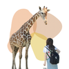 きりんデザイン