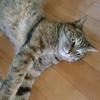 れむこ