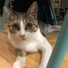 そんせんニン