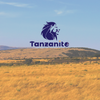 Tanzanite421