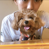 ＊ayaka＊26