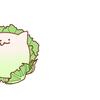 いい夢みろよ