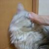 siawase624572