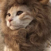 じょせっぷさん