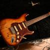 mustangblues