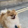 谷中りょうせい