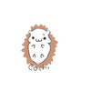 cochi25mk
