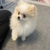 みみちゃん！！