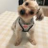 接客業で働く方を全力で応援する人