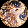 伽羅senses