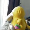 kokekokoo