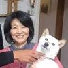 杉野 久美