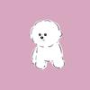 shochan_0202