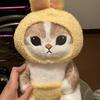 葉山奈々
