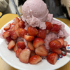 ネシロ Nesshi