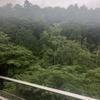 龍の巣