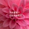 花牟禮雅子