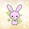 Stella Rabbit