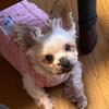大体なんでもお手伝いしたい人